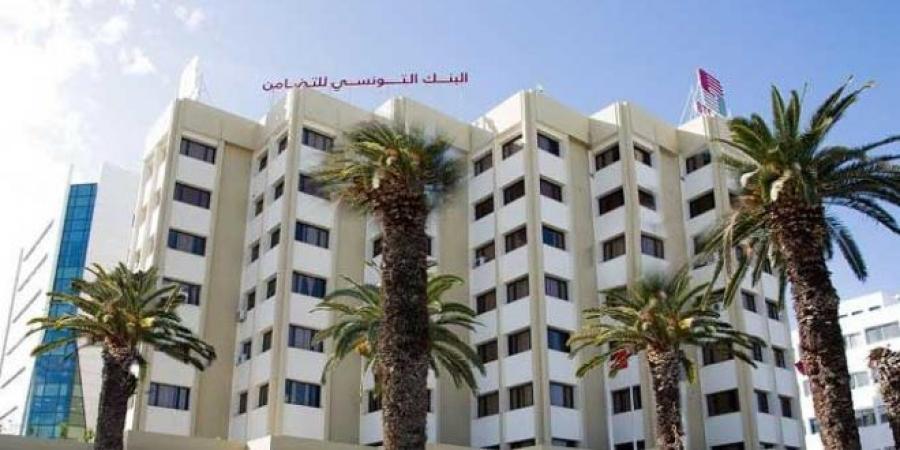 مدير عام بنك التضامن: البنك وفّر التمويل لفائدة 32 شركة أهلية بالشراكة مع وزارة التشغيل والتكوين المهني - تدوينة الإخباري