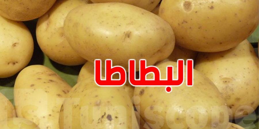 وزير التجارة يُعلّق على نقص البطاطا قي الأسواق - تدوينة الإخباري