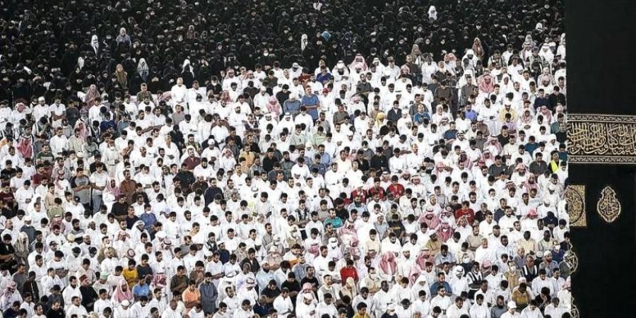 في شهر رمضان.. معايير واشتراطات مقدمي سفر الإفطار بالمسجد الحرام - تدوينة الإخباري