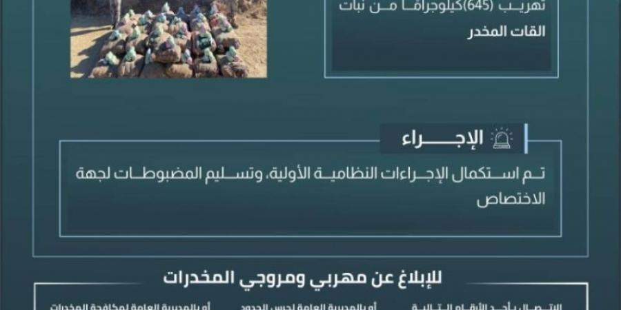 حرس الحدود بعسير يحبط تهريب (645) كيلوجرامًا من القات المخدر - تدوينة الإخباري