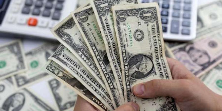 سعر الدولار اليوم الجمعة 31-1-2025 أمام الجنيه في البنوك المصرية - تدوينة الإخباري