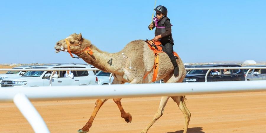 سيطرة سعودية على أشواط سباق الهجانة للرجال والسيدات - تدوينة الإخباري