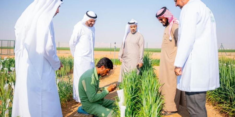 وفد حكومي يطلع على استراتيجية تحسين القمح بالشارقة - تدوينة الإخباري