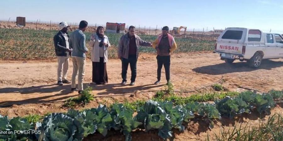 فرق بحثية من مركز بحوث الصحراء تقدم الدعم الفني والإرشادي للمزارعين في...اليوم السبت، 1 فبراير 2025 10:24 صـ   منذ 22 دقيقة - تدوينة الإخباري