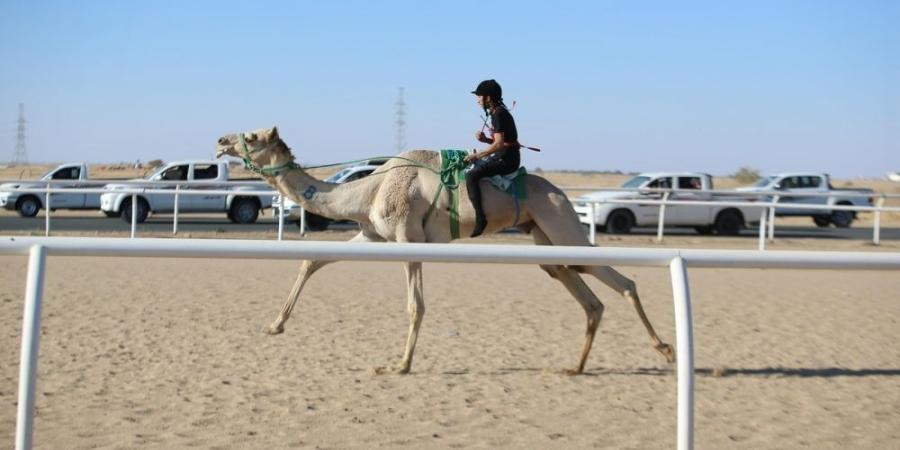 سعودي وقطري وإماراتي يتنافسون على "سيف السعودية" - تدوينة الإخباري