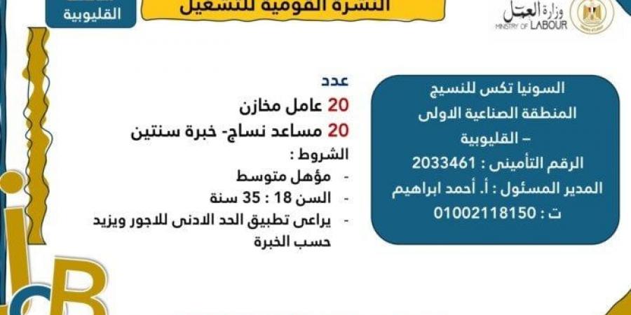 العمل: 1575 فرصة عمل للشباب في 48 شركة خاصة والتقديم خلال فبراير - تدوينة الإخباري