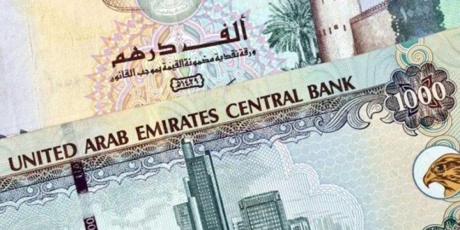 سعر الدرهم الإماراتي مقابل الجنيه المصري اليوم الإثنين 3 فبراير 2025 - تدوينة الإخباري