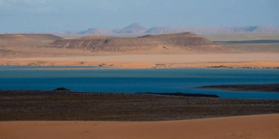 الأراضي الرطبة.. نظم بيئية حيوية بأنواع مختلفة بمحمية الملك سلمان الملكية - تدوينة الإخباري