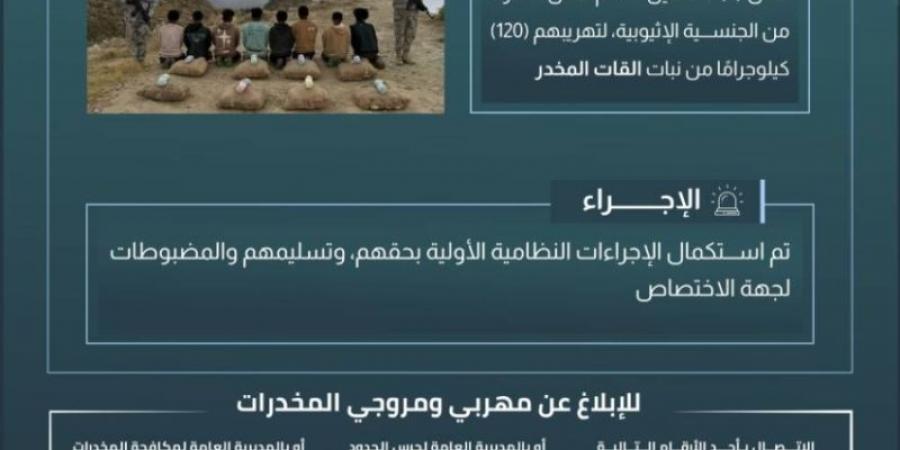 حرس الحدود بعسير يقبض على 8 مخالفين لنظام أمن الحدود لتهريبهم (120) كلجم من نبات القات المخدر - تدوينة الإخباري