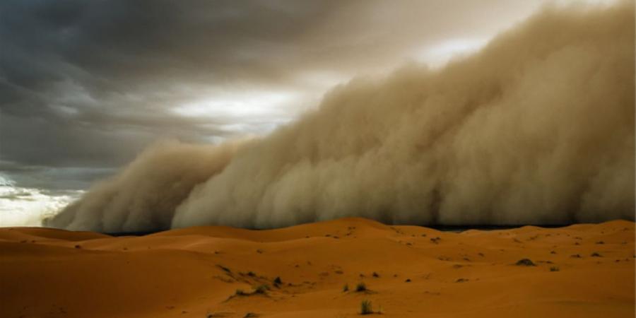 "هبات الرياح تتجاوز الـ100كم/ساعة في بعض المناطق" .. "طقس العرب" يحذر من موجات غُبارية كثيفة الأربعاء والخميس - تدوينة الإخباري