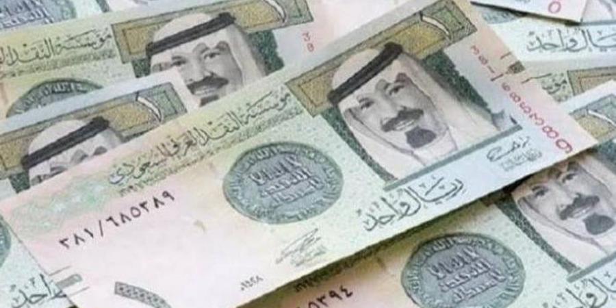 سعر الريال مقابل الجنيه المصري والعملات العربية اليوم الخميس 7-8-1446 - تدوينة الإخباري