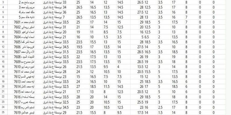 بالاسماء.. جميع نتائج الشهادة الإعدادية بمحافظة الشرقية بـ صيغة إكسل - تدوينة الإخباري
