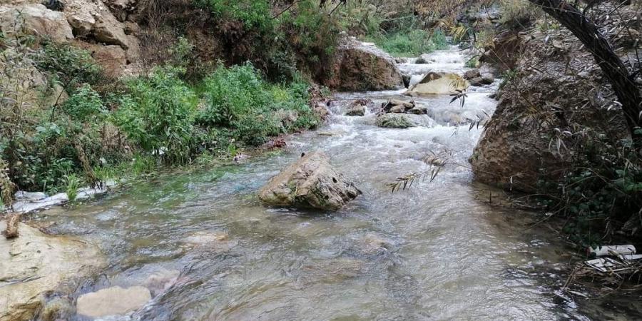 مطالب بإدراج راجب ضمن المدن السياحية العالمية - تدوينة الإخباري