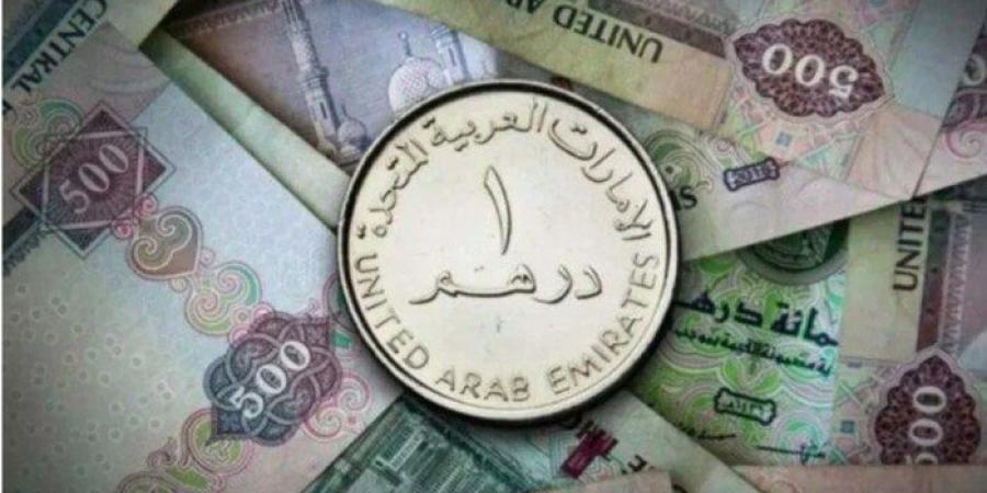 سعر الدرهم الإماراتي مقابل الجنيه المصري اليوم الإثنين 27 يناير 2025 في البنوك - تدوينة الإخباري