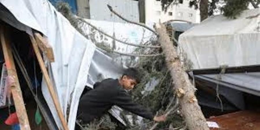 المنخفض الجوي يفاقم معاناة النازحين في قطاع غزة - تدوينة الإخباري