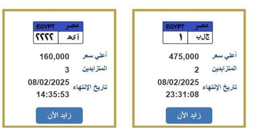 «ج.ل.ب ـ 1».. المرور تطرح لوحة سيارة بنصف مليون جنيه - تدوينة الإخباري