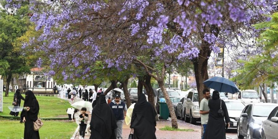 الأرصاد لـ "اليوم": تحسن تدريجي لطقس المملكة.. والربيع يتزامن مع رمضان - تدوينة الإخباري