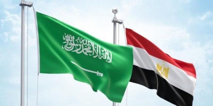 أمن المملكة خط أحمر.. رفض قاطع من مصر للتصريحات الإسرائيلية ضد السعودية - تدوينة الإخباري