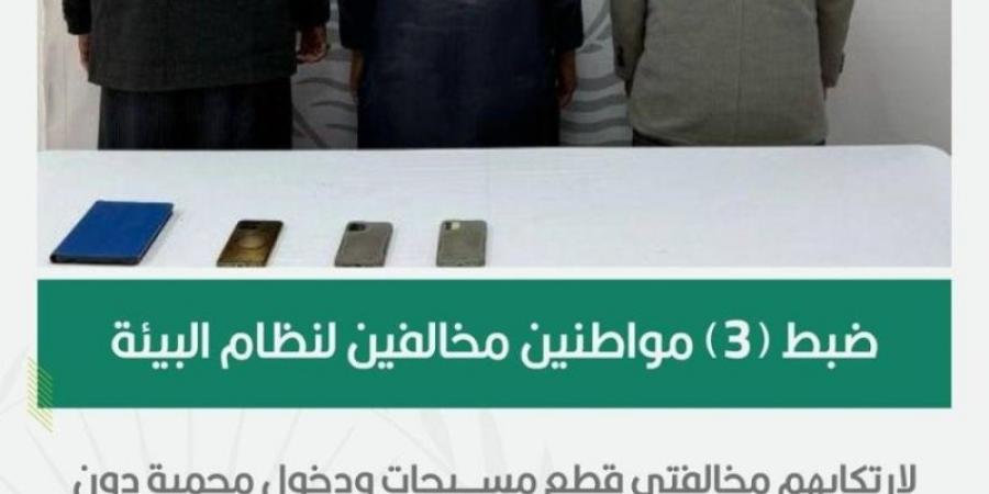 ضبط 3 مخالفين لارتكابهم مخالفتي قطع مسيجات ودخول محمية دون ترخيص - تدوينة الإخباري