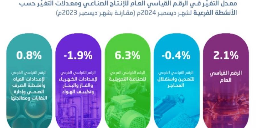 الإحصاء: ارتفاع الرقم القياسي للإنتاج الصناعي بنسبة 2.1 % خلال شهر ديسمبر 2024 - تدوينة الإخباري