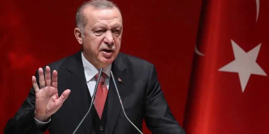 أردوغان: لا يمكن دفع الشعب الفلسطيني نحو نكبة تهجير جديدة - تدوينة الإخباري