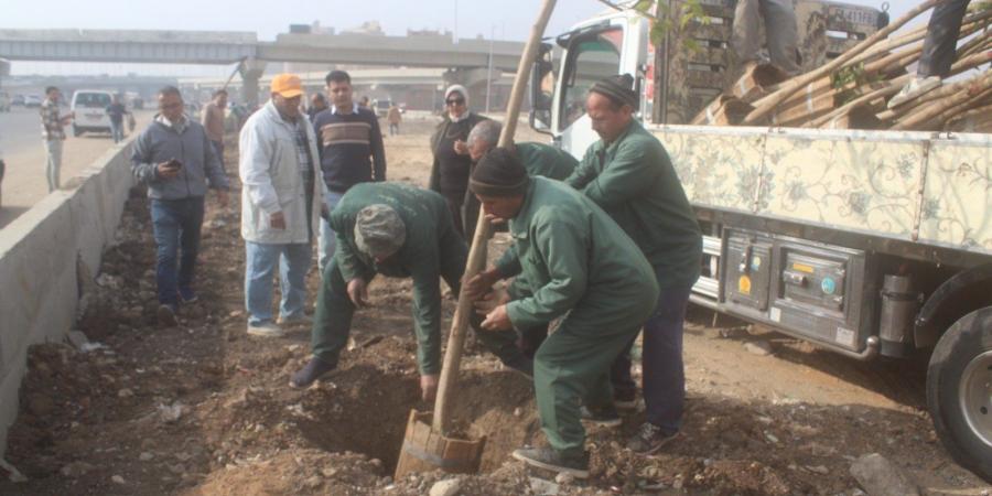 بعد طلاء واجهات العقارات.. تشجير الطريق الدائرى ضمن مبادرة 100 مليون شجرة - تدوينة الإخباري