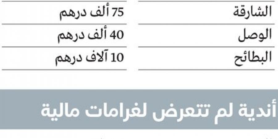 220 ألف درهم غرامات أندية المحترفين.. وشباب الأهلي في الصدارة - تدوينة الإخباري