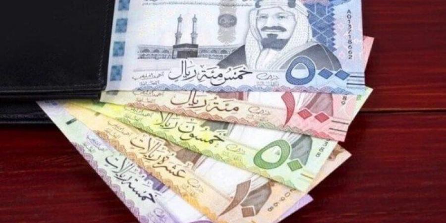 سعر الريال السعودى في مصر اليوم.. الأربعاء 12-2-2025 - تدوينة الإخباري