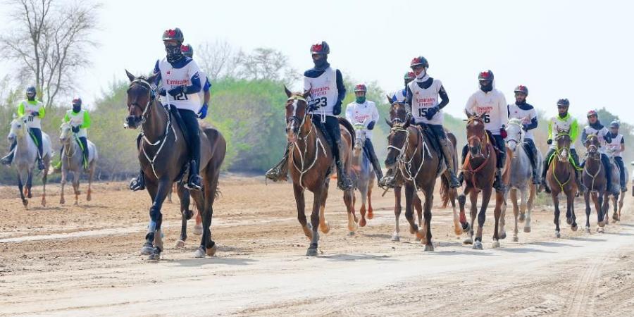 فتح التسجيل للمشاركة في مهرجان محمد بن راشد للقدرة - تدوينة الإخباري