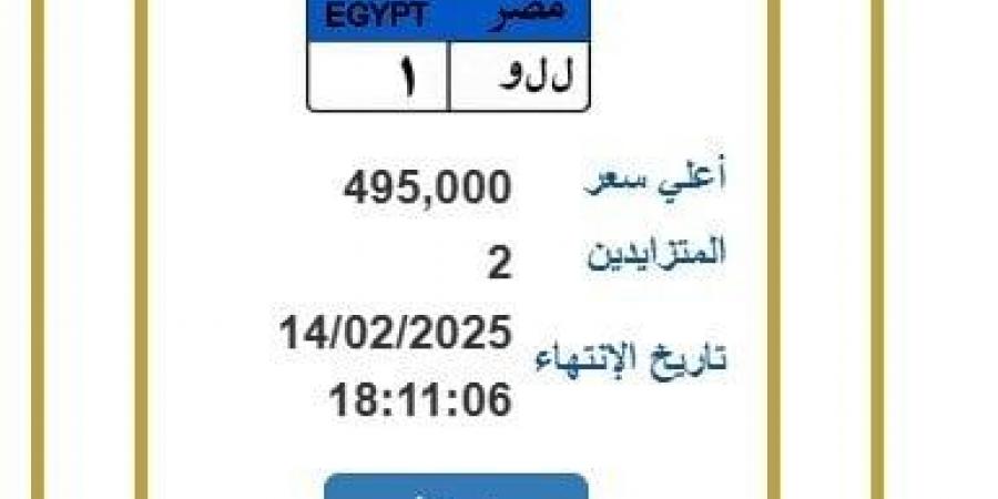 لوحة معدنية مميزة وصل سعرها 495 ألف جنيه.. آخر موعد لانتهاء المزايدة - تدوينة الإخباري