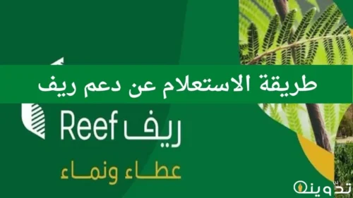 دعم ريف