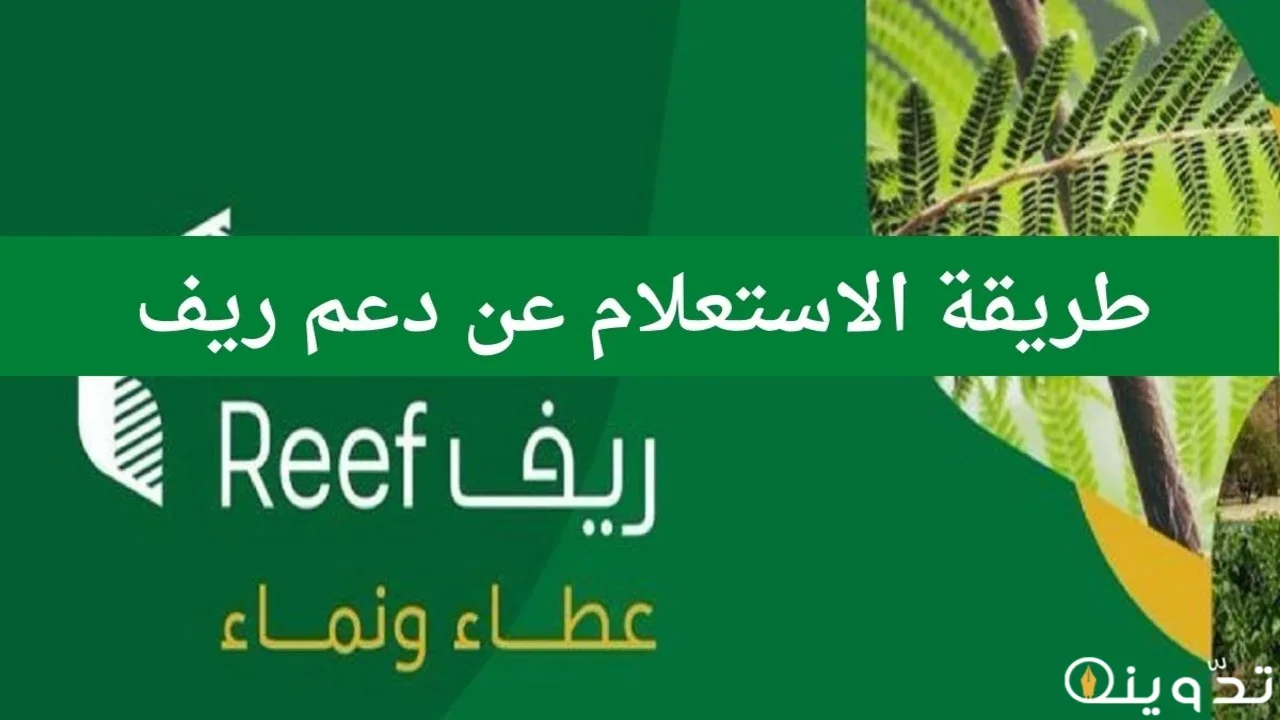 دعم ريف