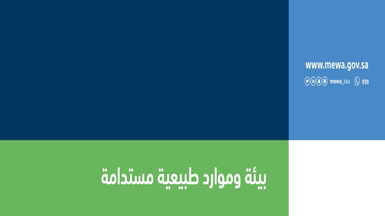 استثناء الصيادين محدودي الدخل من شروط الحصول على رخص ممارسة صيد الأسماك