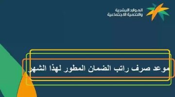 11 11 23 449056139 1