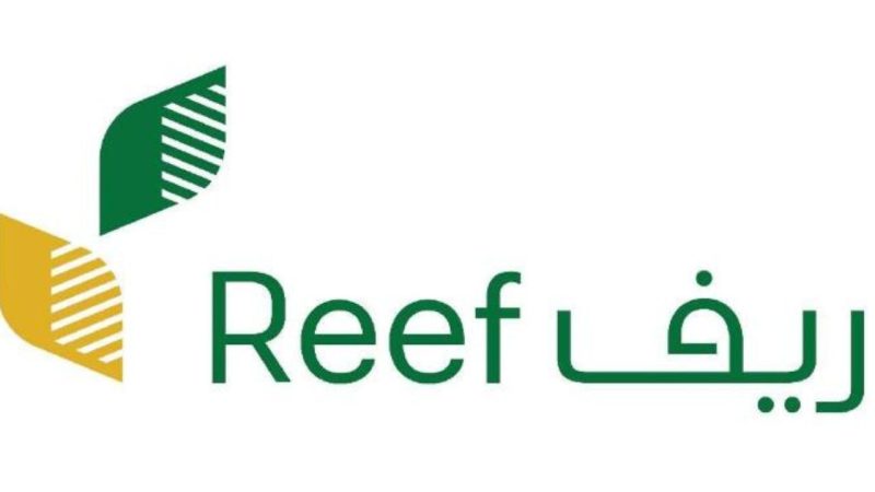 رابط الحاسبة التقديرية لبرنامج ريف السعودي لتمكين المستفيد من معرفة قيمة الدعم المستحق 1 رابط الحاسبة التقديرية لبرنامج ريف السعودي لتمكين المستفيد من معرفة قيمة الدعم المستحق