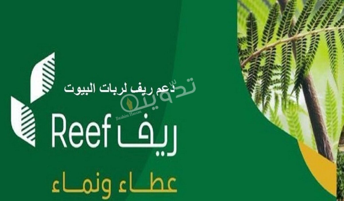 شروط التقديم فى برنامج دعم ريف والمستندات المطلوبة 2 شروط التقديم في برنامج دعم ريف