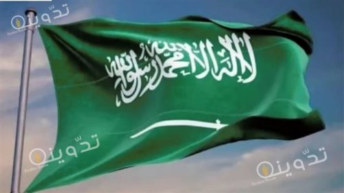 شروط الحصول على الجنسية السعودية وكيفية تقديم الطلب 14 شروط الحصول على الجنسية السعودية وكيفية تقديم الطلب