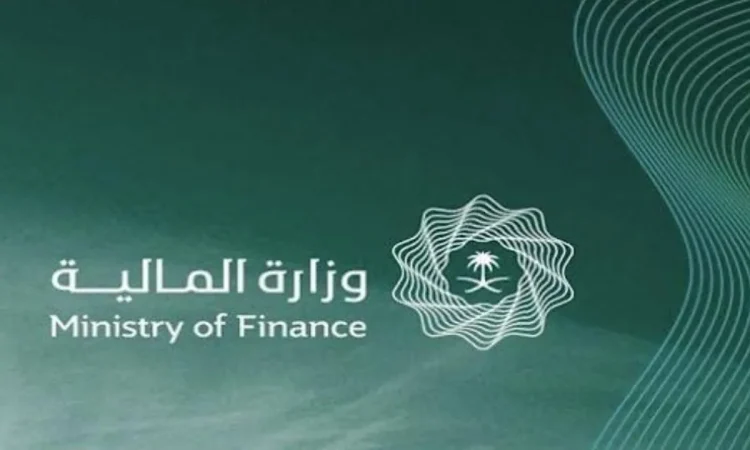 العوائد السنوية