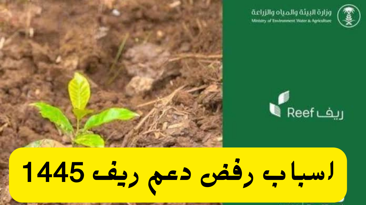 أسباب رفض طلب دعم ريف