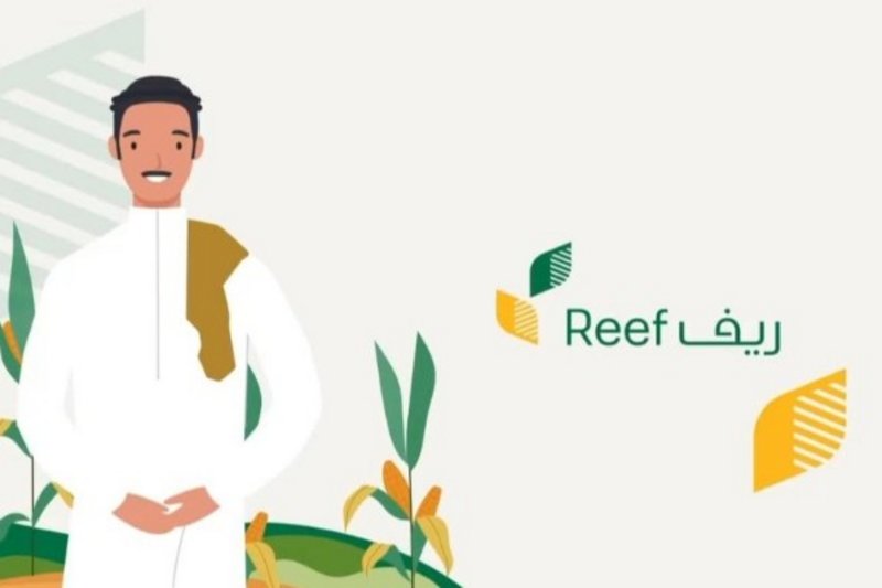 رابط الاستعلام عن دعم ريف 1445 برقم الهوية عبر منصة ريف reef.gov.sa