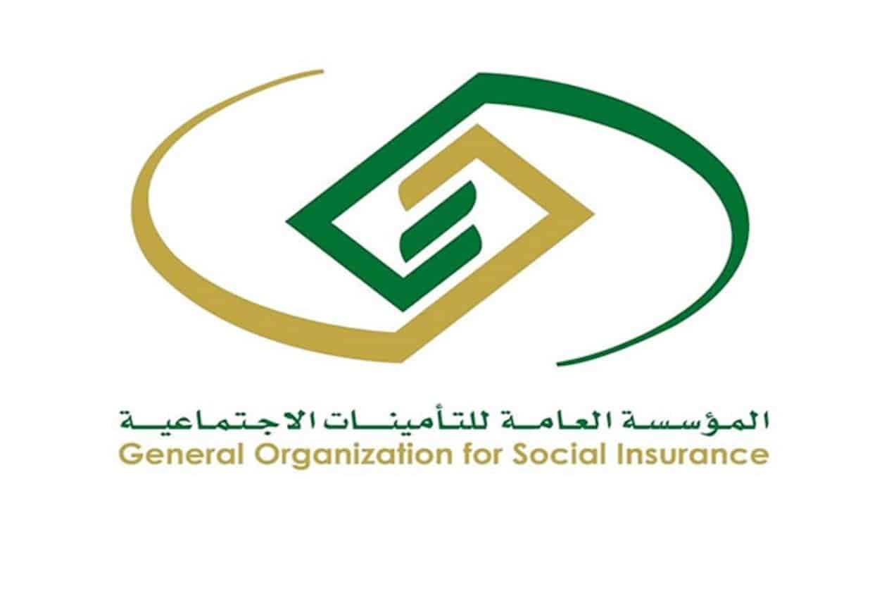 العمل في جهتين حكوميتين في نفس الوقت التأمينات تجيب