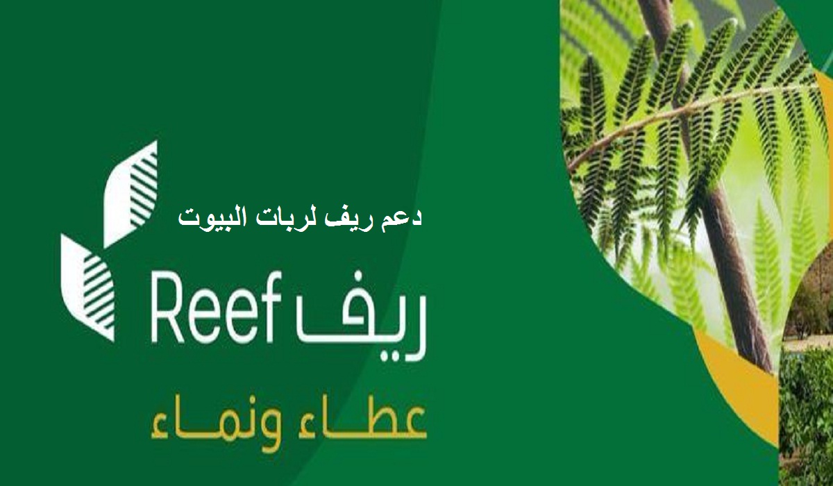 دعم ريف للنساء بالمملكة