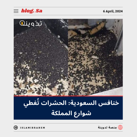 خنافس السعودية: الحشرات تُُغطي شوارع المملكة 1 خنافس السعودية