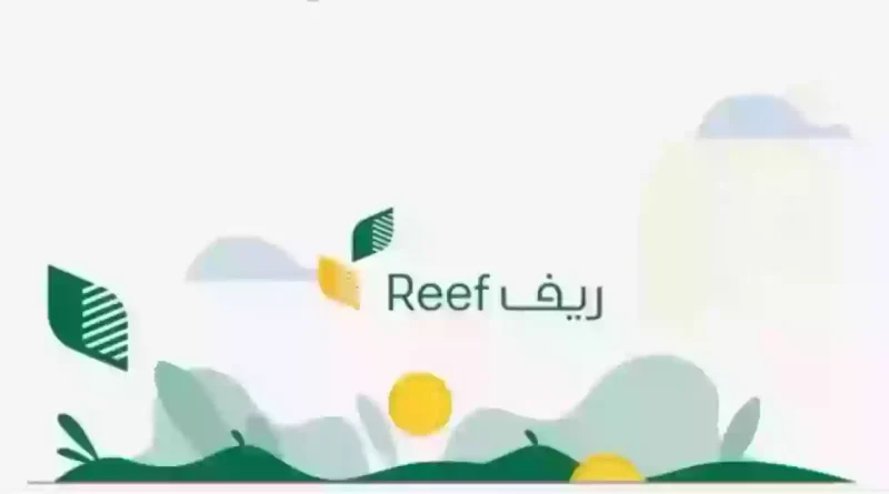 رابط استعلام عن دعم ريف برقم الهوية عبر reef.gov.sa والشروط المطلوبة 1 استعلام دعم ريف