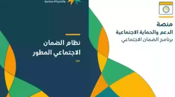 16 12 23 272600069 1