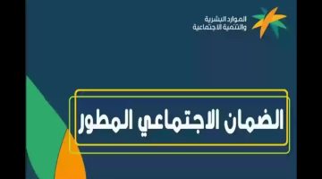 17 04 24 919110657.webp