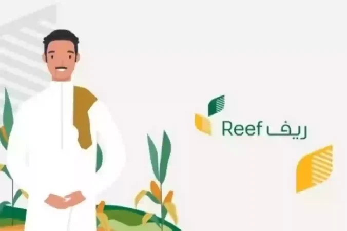 متى ينزل دعم ريف بعد قبول الطلب وشروط البرنامج العامة والفئات المستفيدة 1 متى ينزل دعم ريف بعد قبل الطلب وشروط البرنامج العامة والفئات المستفيدة