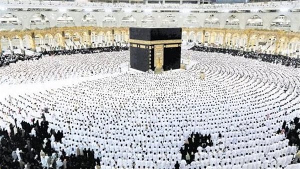 كيفية الاستعلام عن تأشيرة العمرة برقم الجواز مجانًا 1445-2024