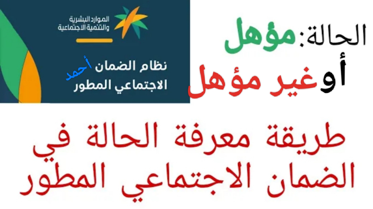 IMG ٢٠٢٤٠٤٢٧ ١٩٢٦٤٠