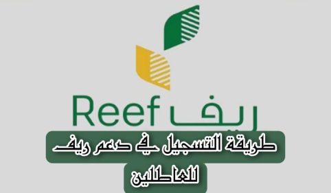 Picsart 23 12 06 17 57 54 711 1024x597 1